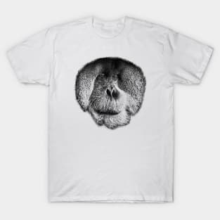 Orangutan face T-Shirt